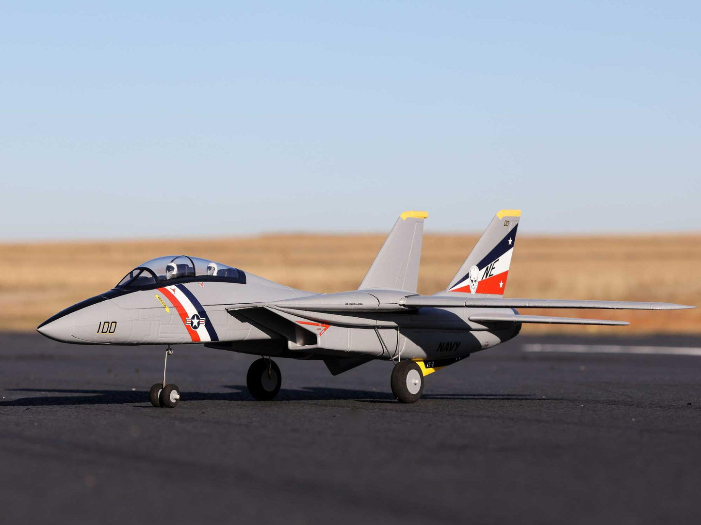 E-FLITE F-14 Tomcat Twin 40mm EDF BNF Basic  EFL01450 (shadow stock)